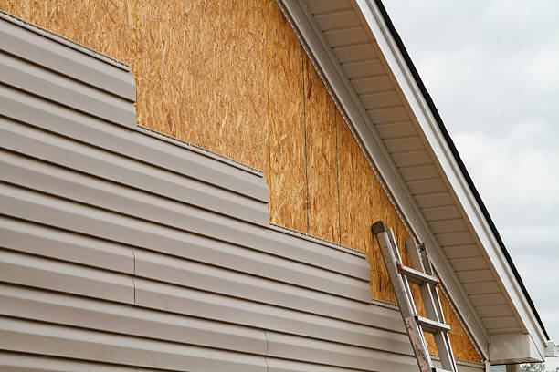 Professional Siding Inspection technician working in Greer, SC